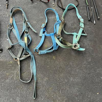 Equine Bridles & Whips (G-MG)
