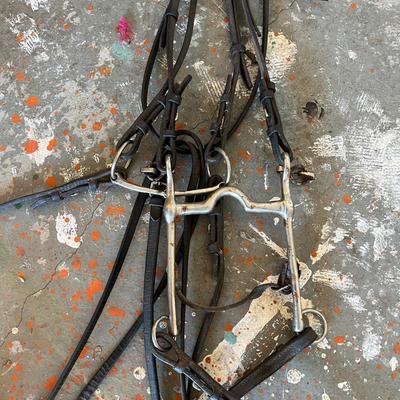 Equine Bridles & Whips (G-MG)