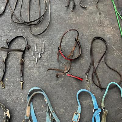 Equine Bridles & Whips (G-MG)