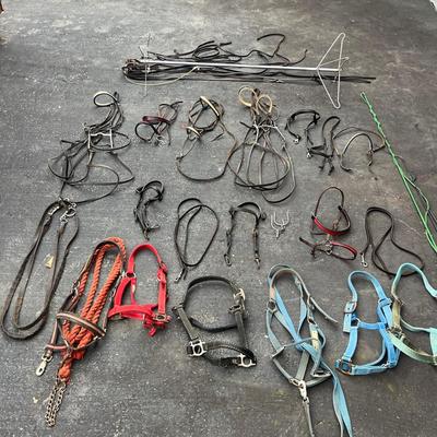 Equine Bridles & Whips (G-MG)