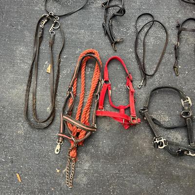 Equine Bridles & Whips (G-MG)