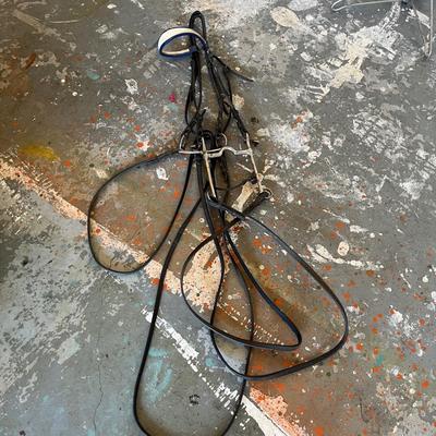 Equine Bridles & Whips (G-MG)