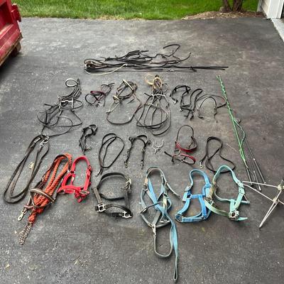 Equine Bridles & Whips (G-MG)