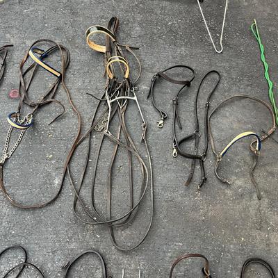 Equine Bridles & Whips (G-MG)
