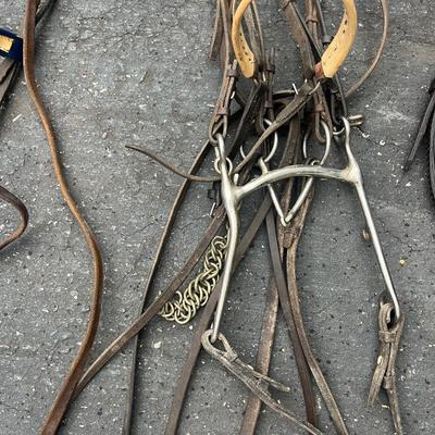 Equine Bridles & Whips (G-MG)