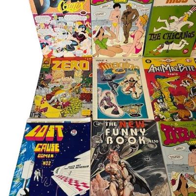 Adult Comic Book Assortment