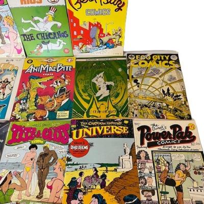 Adult Comic Book Assortment