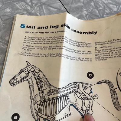 Renwal Visible Horse