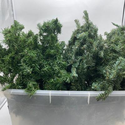 Box of garland