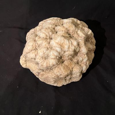 Geode (G-MG)