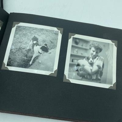 Photo albums