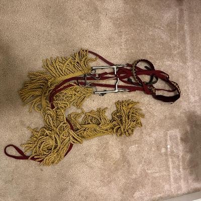 Renaissance Costume For Horse & Rider (G-MG)