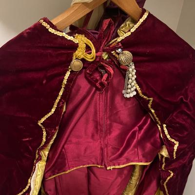 Renaissance Costume For Horse & Rider (G-MG)