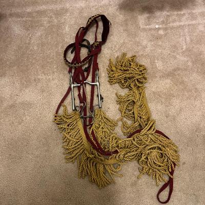 Renaissance Costume For Horse & Rider (G-MG)