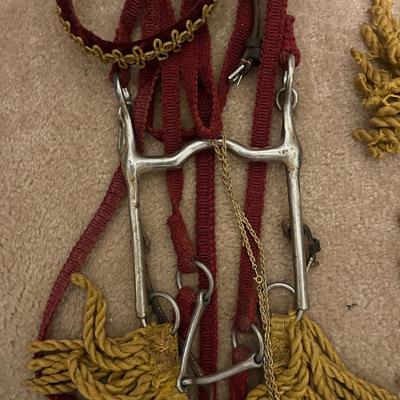 Renaissance Costume For Horse & Rider (G-MG)