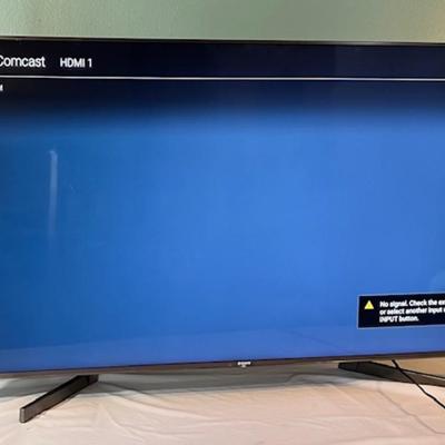 Sony Bravia Flat Screen Television