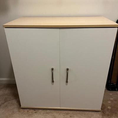 Cabinet With Two Adjustable Shelves (PC-MG)