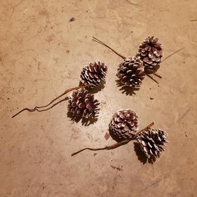 Pinecone, Wreath, and Poinsettia Christmas Decor & More (BS-KD)
