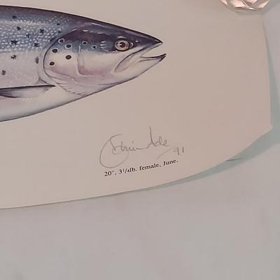 Fish Art, Books and more (PC-BBL)