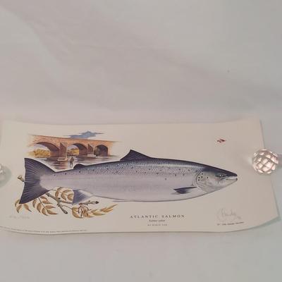 Fish Art, Books and more (PC-BBL)