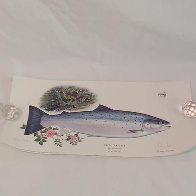 Fish Art, Books and more (PC-BBL)