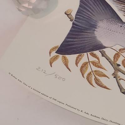 Fish Art, Books and more (PC-BBL)