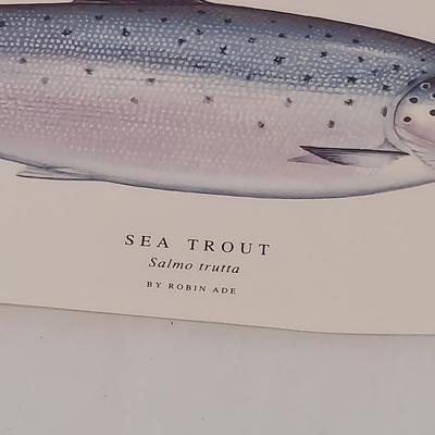 Fish Art, Books and more (PC-BBL)