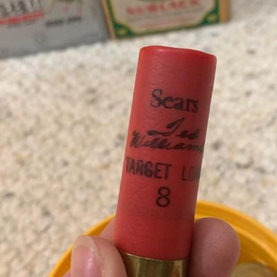 Large Variety of Plastic 12 Guage Shotgun Shells (PC-HS)