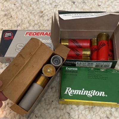 Large Variety of Plastic 12 Guage Shotgun Shells (PC-HS)