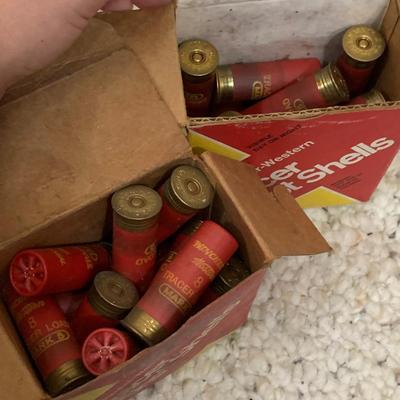 Large Variety of Plastic 12 Guage Shotgun Shells (PC-HS)