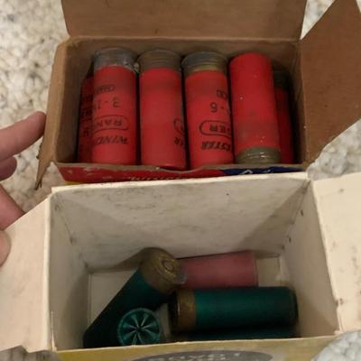 Large Variety of Plastic 12 Guage Shotgun Shells (PC-HS)