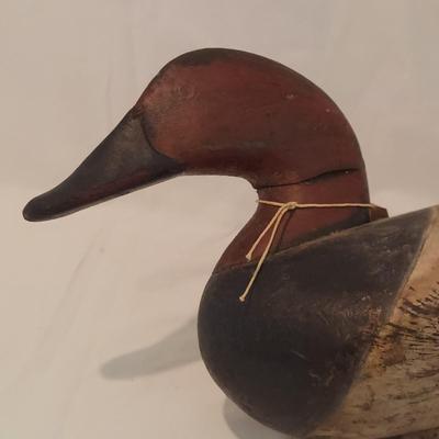 Antique Susquehanna Flats Canvasback Duck Decoy (PC-BBL)