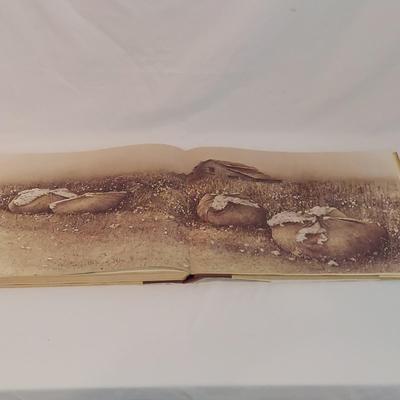 'Jericho The South Beheld' Coffee Table Book (PC-BBL)