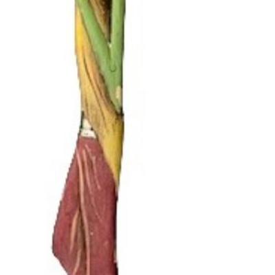 Mid-Century Asian Polychrome Exotic Woman Statue