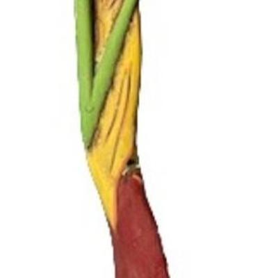 Mid-Century Asian Polychrome Exotic Woman Statue