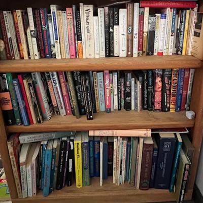 Bookcase with Books