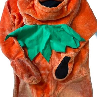 Grateful Dead Dancing Bear Costume