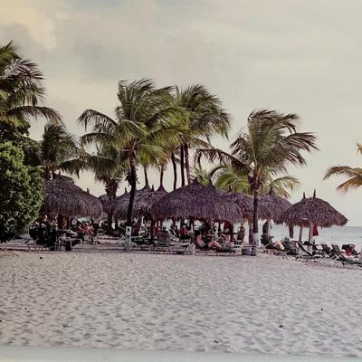 Aluminum Tikki Hut Beach Art (P-RG)