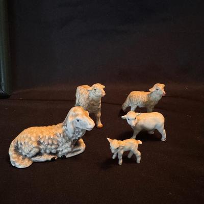 Collection of Sheep (D-DZ)