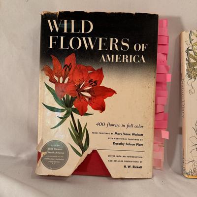 Birds, Wildflowers, and Other Nature Books (D-DZ)