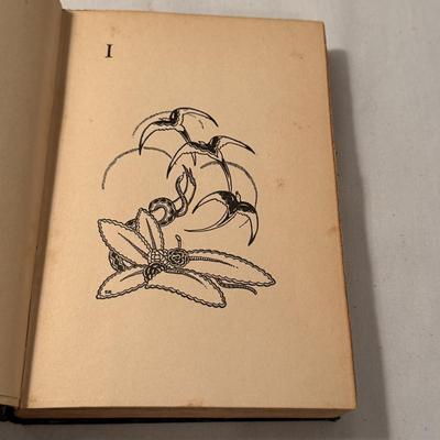 Vandel’s Lucifer No. 252/1250 and Other Antique Books (D-DZ)