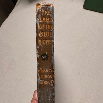 Rare Books: Frances Hodgson Burnett, Thomas Wolfe, John Sale, & Maurice O’Sullivan (D-DZ)
