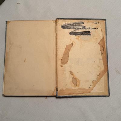 Rare Books: Frances Hodgson Burnett, Thomas Wolfe, John Sale, & Maurice O’Sullivan (D-DZ)