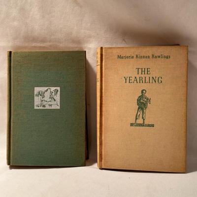 Books by Inglis Fletcher, Daphne Du Maurier, Gene Stratton Porter, and More (D-DZ)