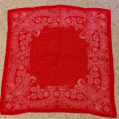 Silk Scarves, Fur Collars, Gloves, & Pantyhose (MB-HS)