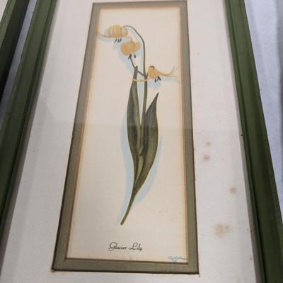 Wild Flower Prints By Harrison R. Crandall
