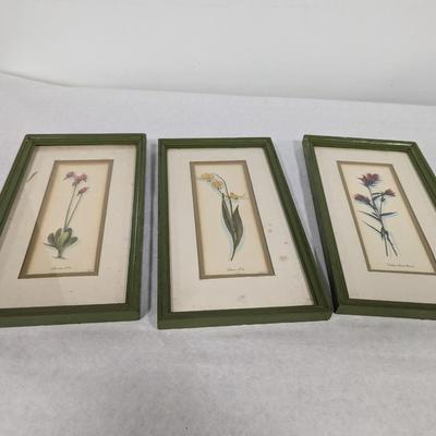 Wild Flower Prints By Harrison R. Crandall