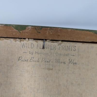 Wild Flower Prints By Harrison R. Crandall
