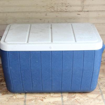 Coleman Cooler