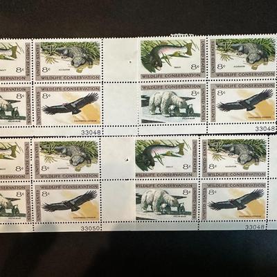 8Cents Wildlife Conservative